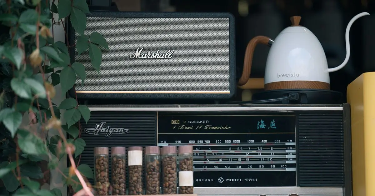 The Best HiFi Speaker Models for Superior Sound Quality
