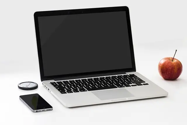 The Impact of Digital Signal Processing on HiFi Audio Systems