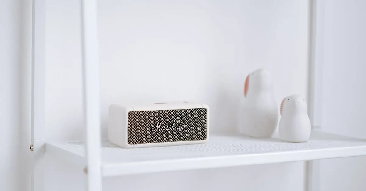 HiFi Speaker Comparison: Bookshelf vs Floorstanding